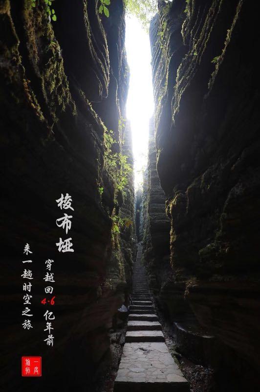 空闲农场